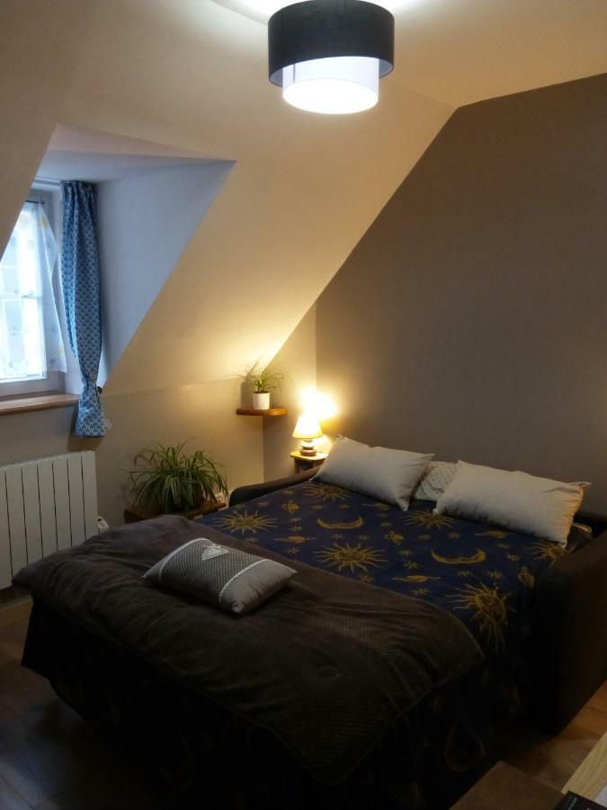 La Musette Apartment Dijon Exterior foto